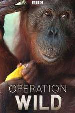Watch Operation Wild 2KMovies