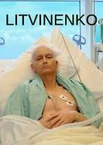 Watch Litvinenko 2KMovies