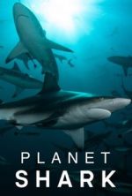 Watch Planet Shark 2KMovies