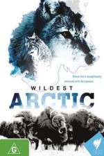 Watch Wildest Arctic 2KMovies