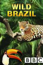 Watch Wild Brazil 2KMovies