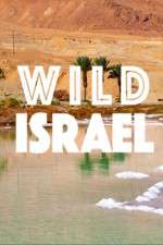 Watch Wild Israel 2KMovies