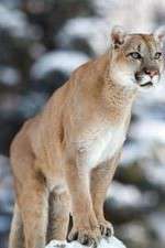 Watch Race of Life 2KMovies