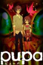 Watch Pupa 2KMovies