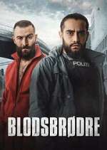 Watch Blodsbrødre 2KMovies
