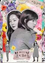 Watch Spring Turns to Spring 2KMovies