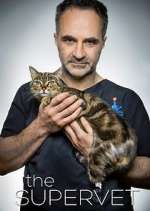 Watch The Supervet: Noel Fitzpatrick 2KMovies