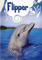 Watch Flipper 2KMovies