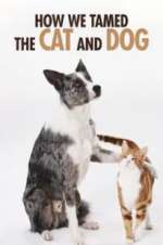 Watch How We Tamed the Cat and Dog 2KMovies