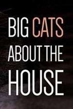 Watch Big Cats About the House 2KMovies