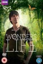 Watch Wonders Of Life 2KMovies