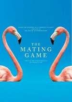 Watch The Mating Game 2KMovies