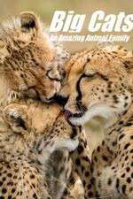 Watch Big Cats: An Amazing Animal Family 2KMovies