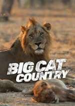 Watch Big Cat Country 2KMovies