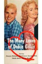 Watch The Many Loves of Dobie Gillis 2KMovies