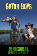 Watch Gator Boys 2KMovies