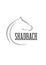 Watch Shadrach 2KMovies