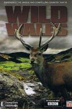 Watch Wild Wales 2KMovies