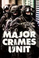 major crimes unit tv poster