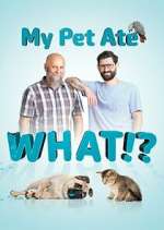Watch My Pet Ate What? 2KMovies