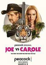 Watch Joe vs Carole 2KMovies