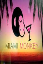Watch Miami Monkey 2KMovies
