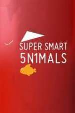 Watch Super Smart Animals 2KMovies