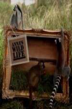 Watch Anna's Wild Life 2KMovies