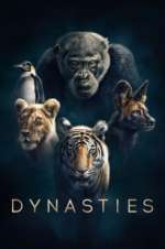 Watch Dynasties 2KMovies