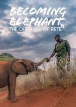 Watch Becoming Elephant: The Orphans Of Reteti 2KMovies