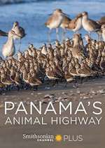 Watch Panama's Animal Highway 2KMovies