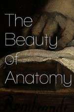 Watch The Beauty of Anatomy 2KMovies