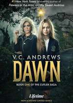 Watch V.C. Andrews' Dawn 2KMovies