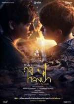 Watch Lost in the Woods 2KMovies