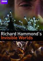 Watch Richard Hammond's Invisible Worlds 2KMovies