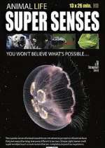 Watch Super Senses 2KMovies