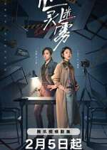 Watch Lies Never Lie 2KMovies