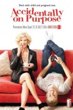 Watch Accidentally on Purpose 2KMovies