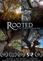 Watch Rooted 2KMovies
