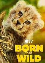 Watch Born to Be Wild 2KMovies
