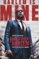 Watch Godfather of Harlem 2KMovies