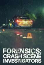 Watch Forensics: Crash Scene Investigators 2KMovies