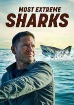 Watch Most Extreme Sharks 2KMovies