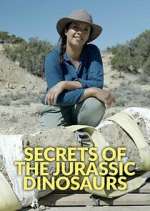 Watch Secrets of the Jurassic Dinosaurs 2KMovies