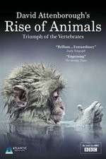 Watch David Attenborough's Rise of Animals: Triumph of the Vertebrates 2KMovies