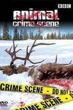 Watch Animal Crime Scene 2KMovies
