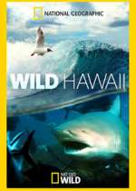 Watch Wild Hawaii 2KMovies