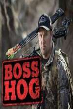 Watch Boss Hog 2KMovies