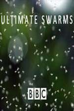 Watch Ultimate Swarms 2KMovies