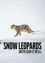Watch Snow Leopards with Dan O\'Neill 2KMovies